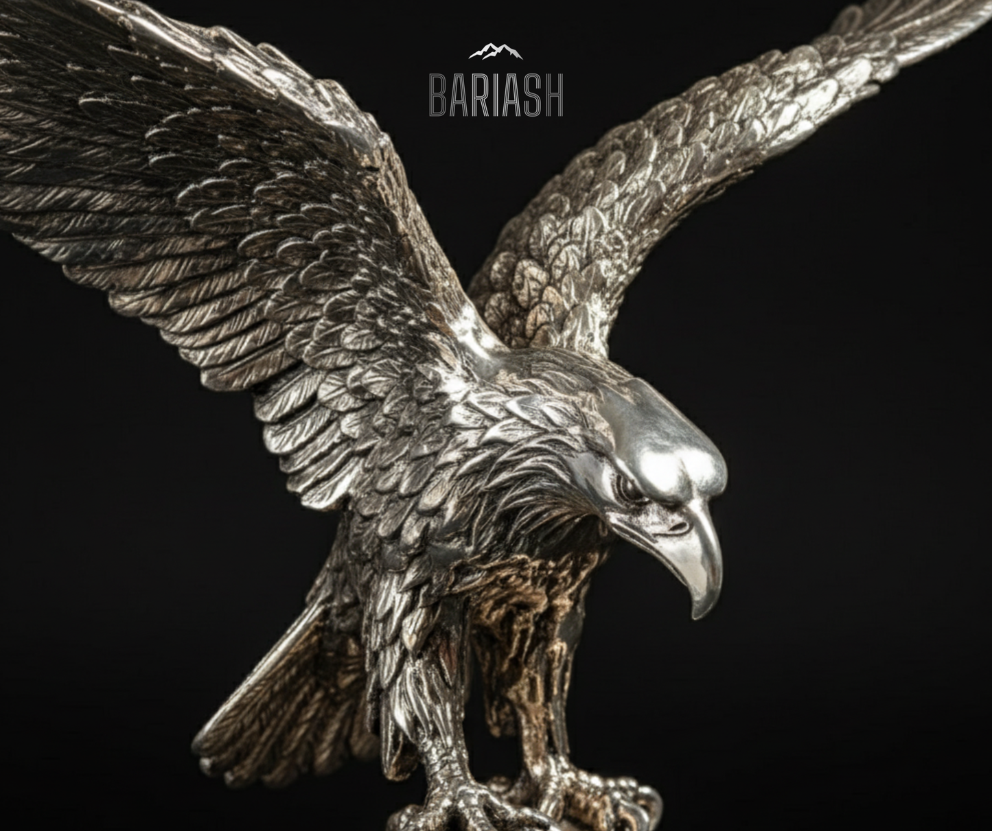 Бүргэд шувуу