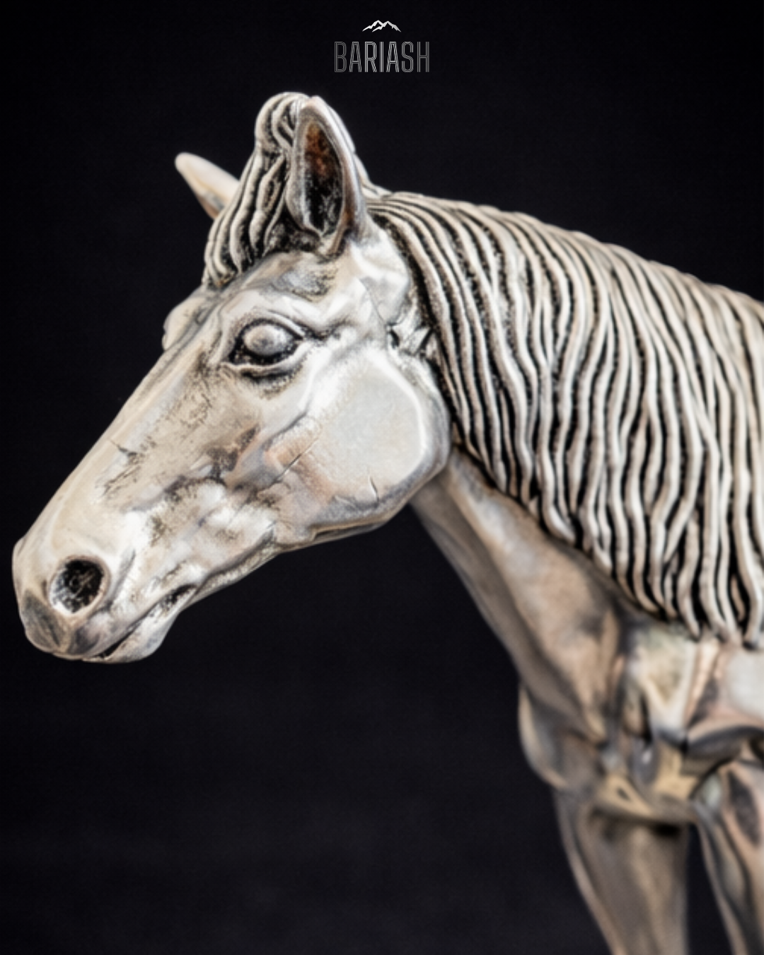 Азарга, Их нас /Жижиг/