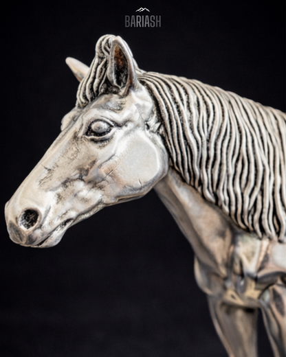 Азарга, Их нас /Жижиг/