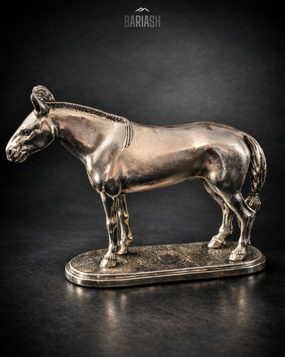 Азарга, Их нас /Жижиг/