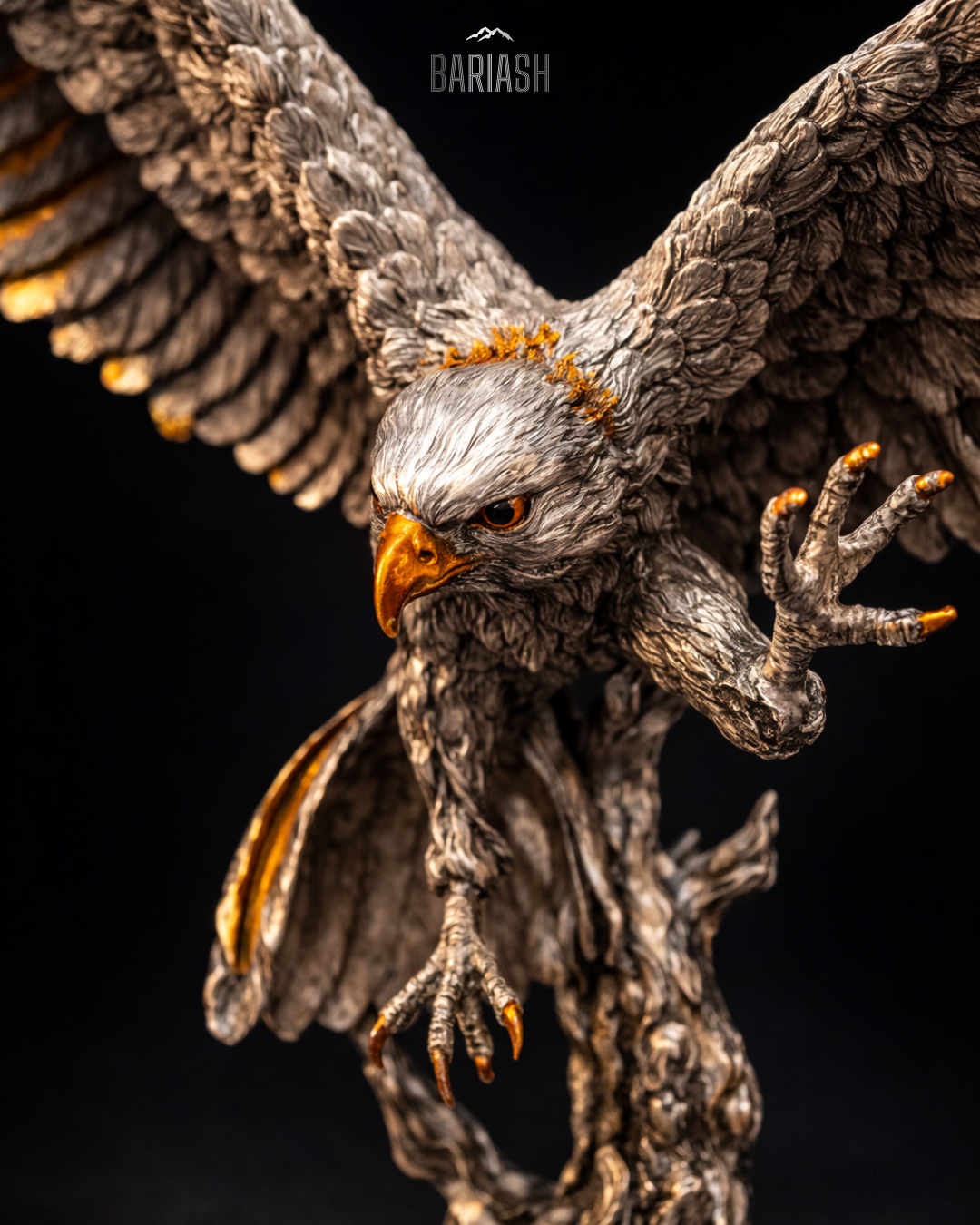 Бүргэд шувуу/Том/