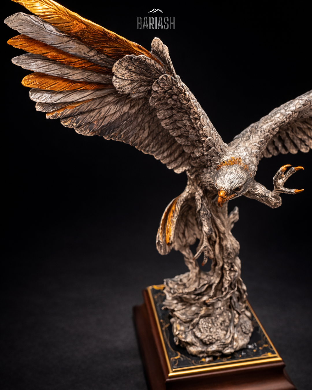 Бүргэд шувуу/Том/