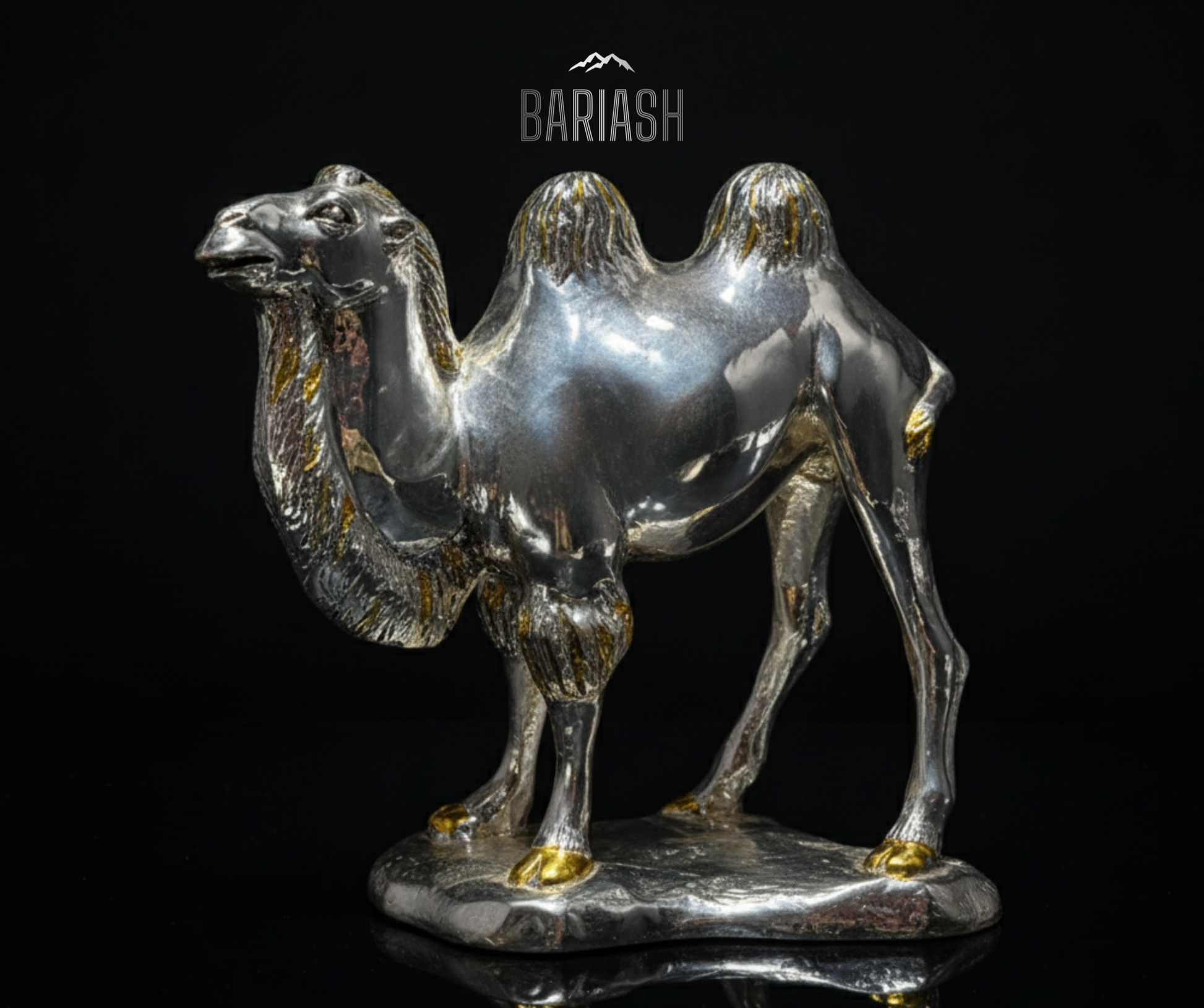 Тэмээ – Bariash store